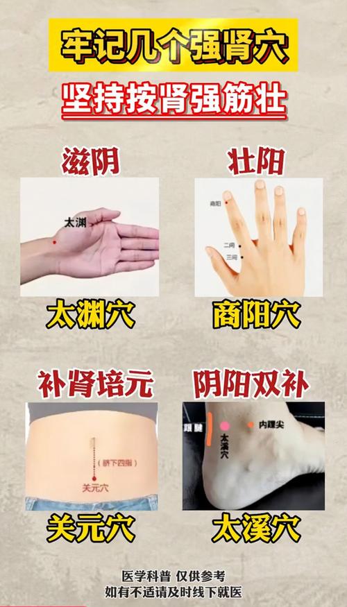 肾脏不好按摩哪个穴位