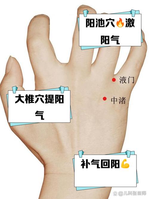 按摩哪个穴位可以壮阳