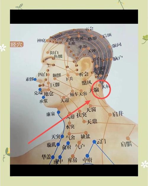 颈椎不好按摩什么穴位