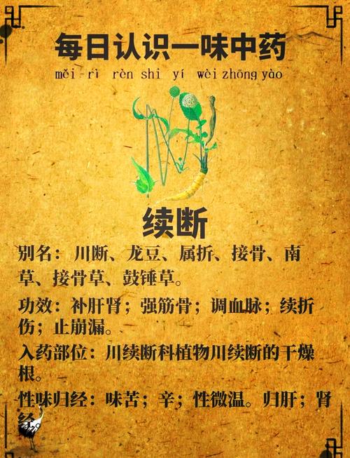 风湿类风湿的断根秘方