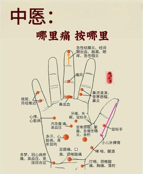 手指麻木按摩那个穴位