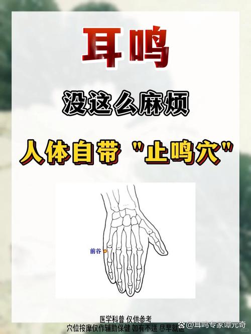 耳鸣按摩什么穴位视频