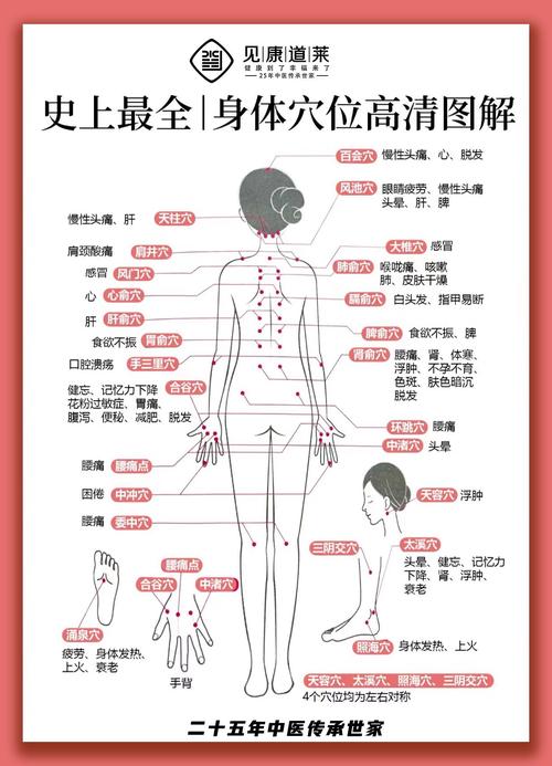 人体穴位经络疗法图解