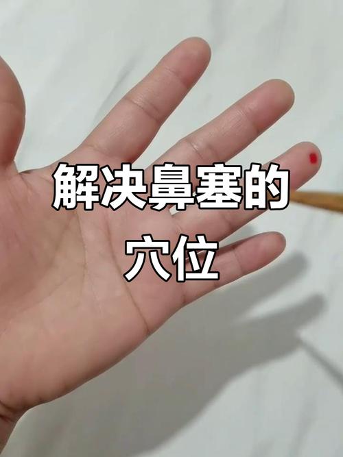 鼻子出血按压那个穴位