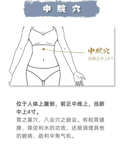 脾胃湿热艾灸什么穴位