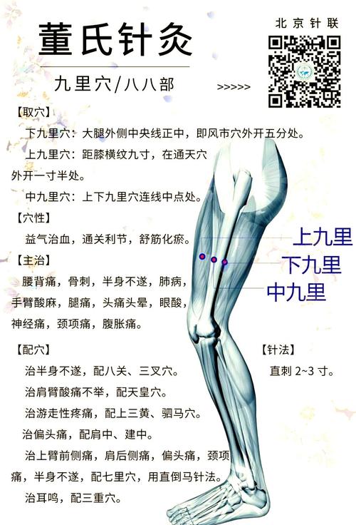 中里巴人讲解经络穴位