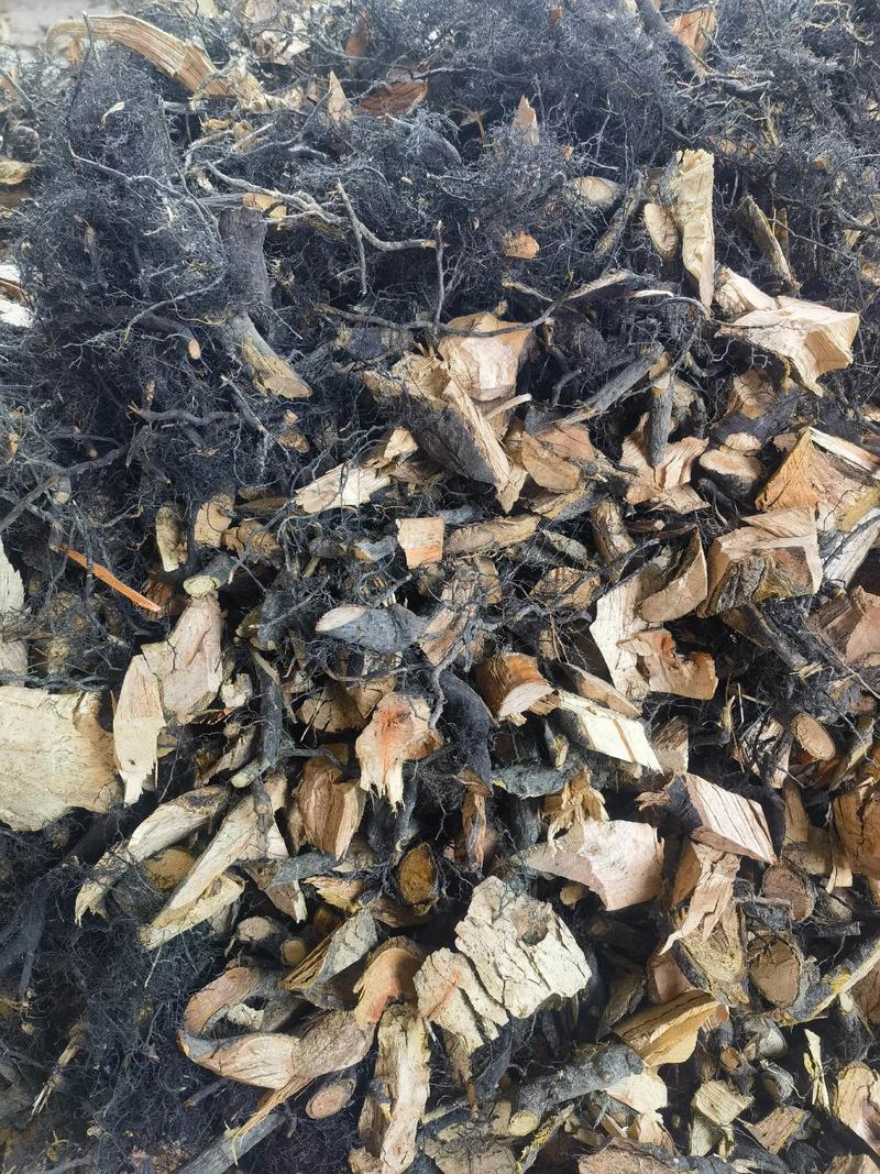 古方曹清华风湿类风湿