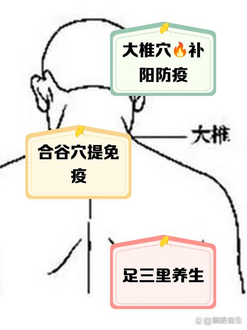 提高身体免疫力的穴位