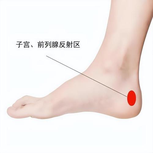 艾灸治疗前列腺的穴位