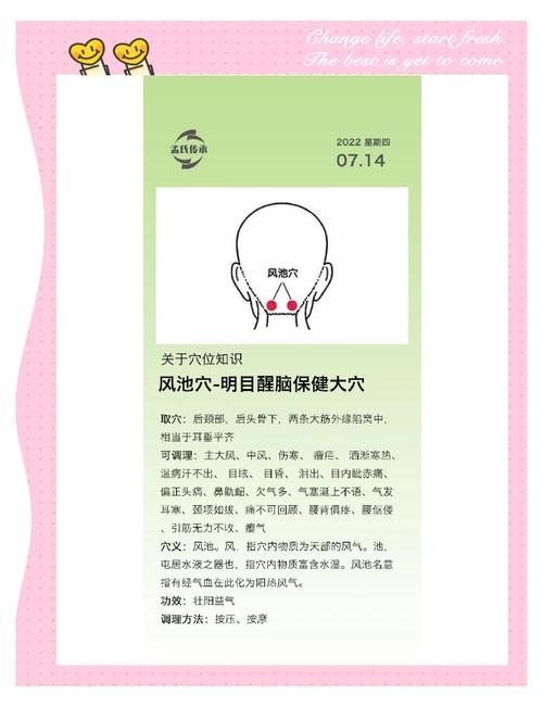 风池穴位疼是什么原因