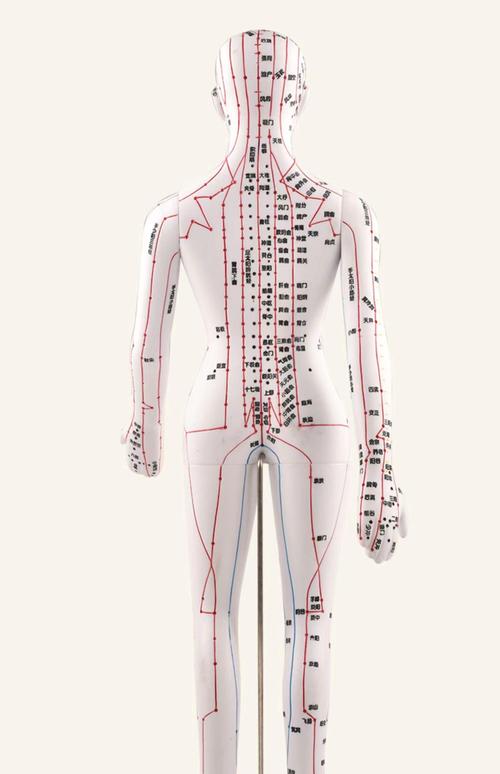 人体全身经络穴位彩图