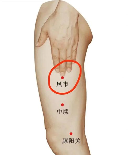 植物神经紊乱针灸穴位