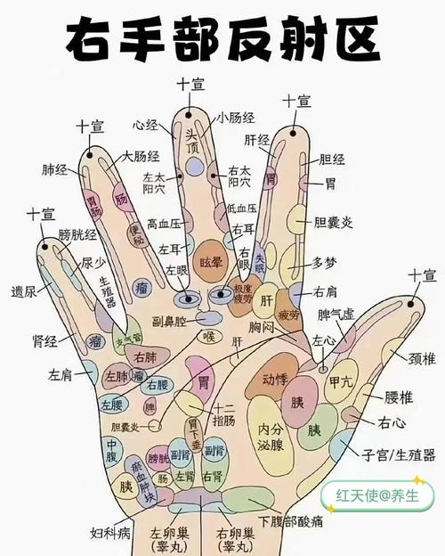 人体手掌穴位图解大全