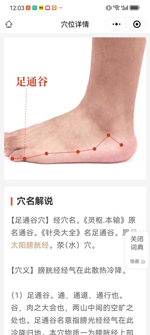 植物神经紊乱按摩穴位