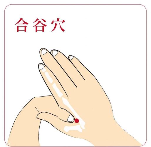 植物神经紊乱按摩穴位