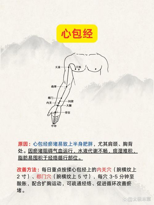 经络穴位按摩速查全书