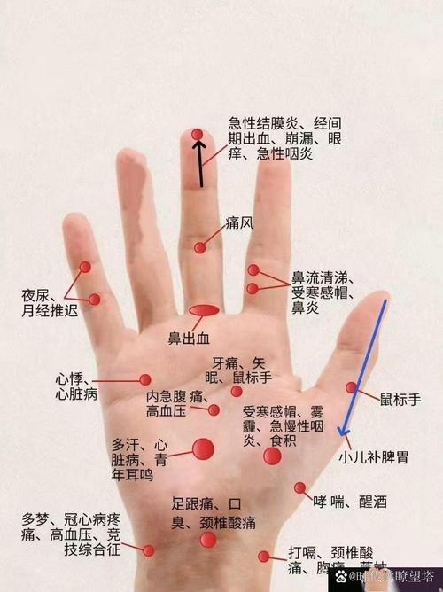 人体手部的穴位有哪些