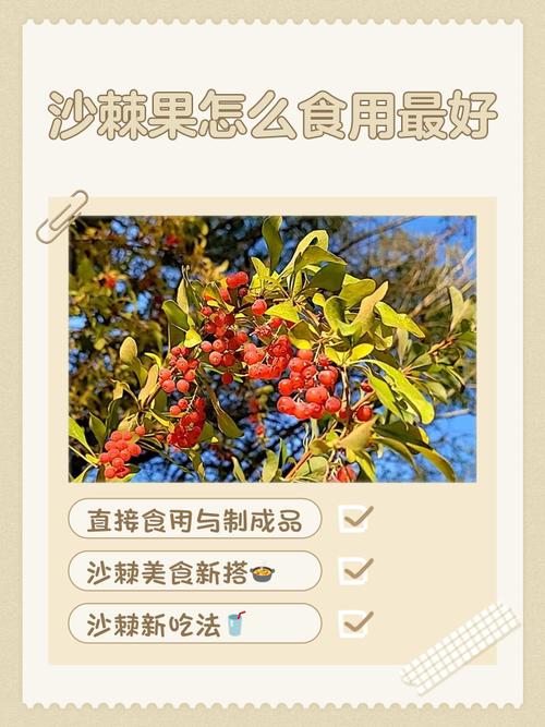 脑梗心梗吃沙棘果好么