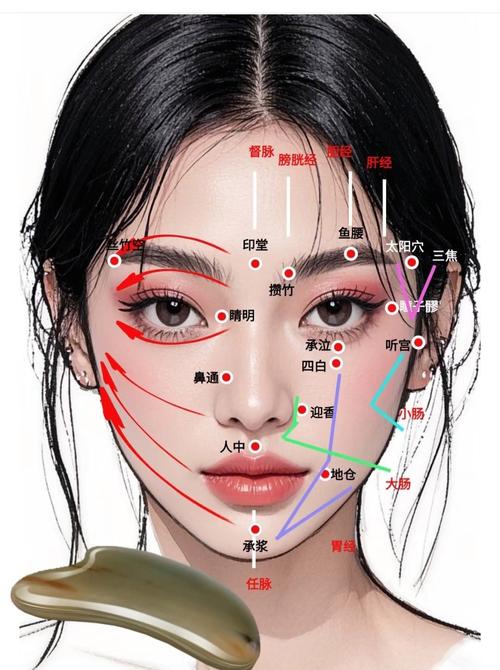 面部穴位图解大全按摩