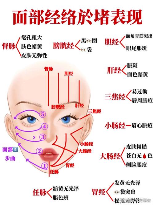 面部穴位图解大全按摩