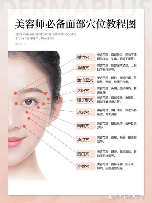 面部穴位图解大全按摩