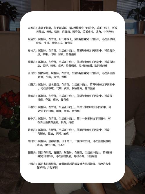 人体背部穴位图解大全