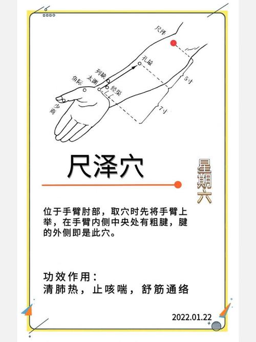 按摩穴位什么时间最好