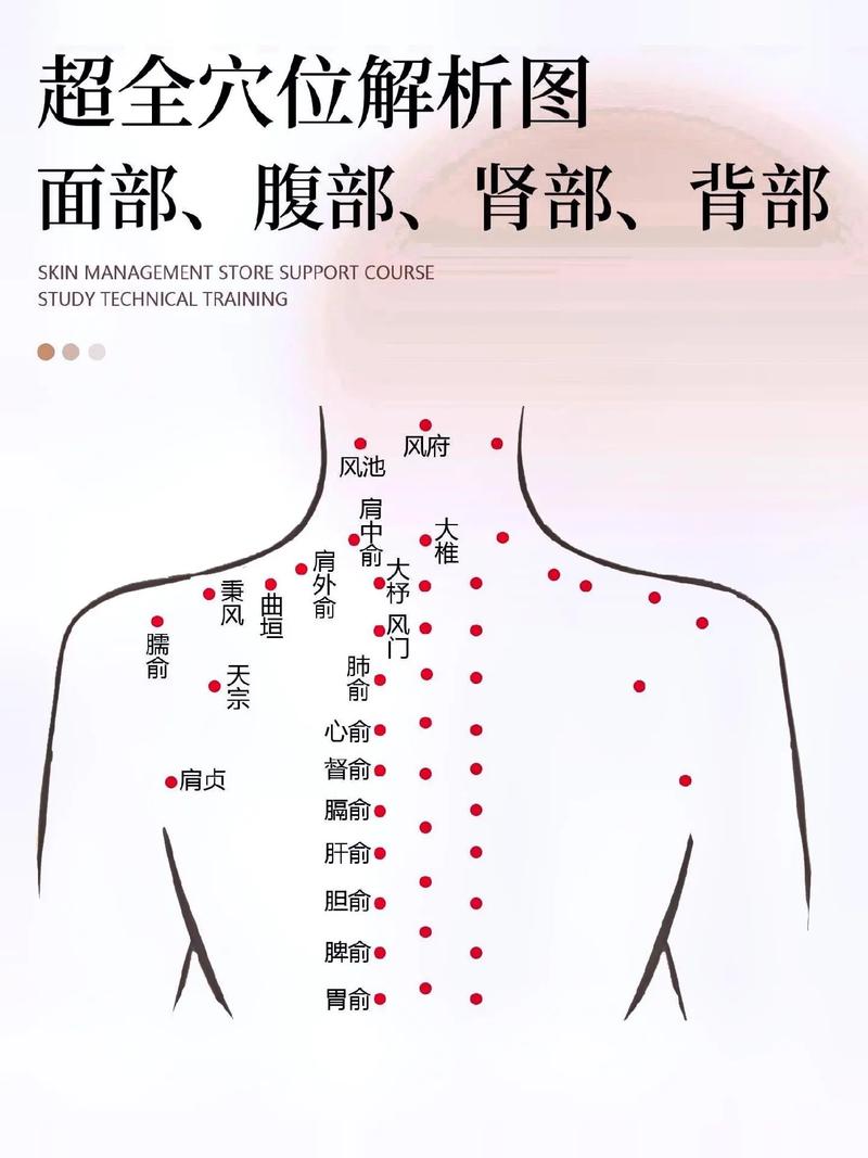 女性人体穴位图解大全