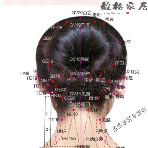 女性人体穴位图解大全