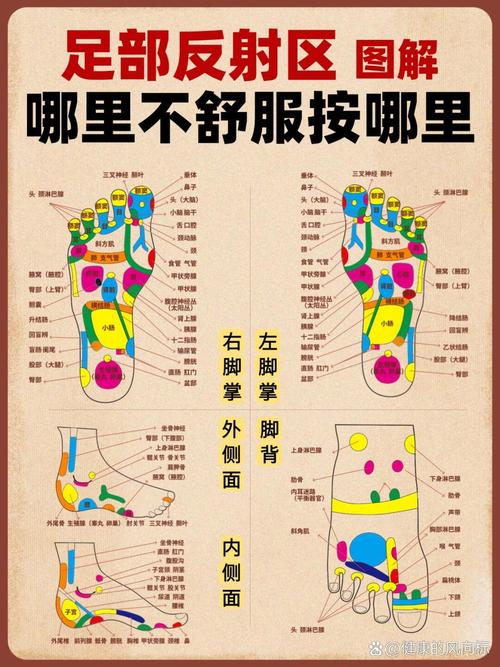 脚穴位图解大全 高清