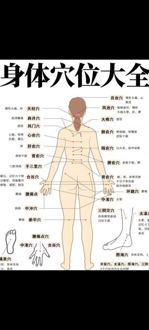 人体穴位图pdf下载