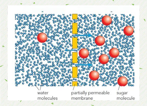 生物离子穴位渗透系统