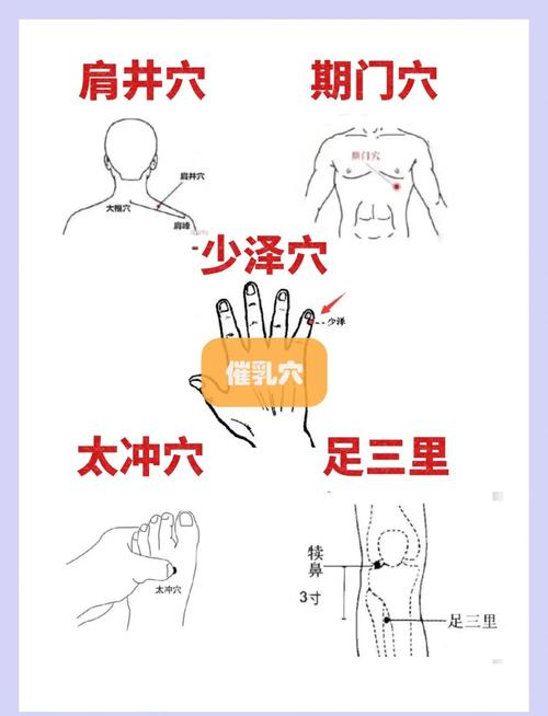 按摩哪些穴位可以丰胸