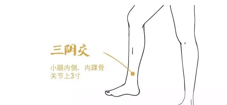 艾灸 引火下行 穴位
