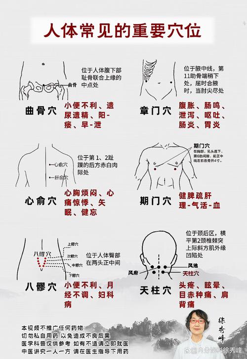 记住这些穴位百病不侵