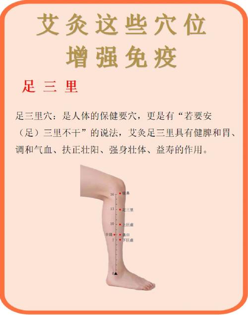 艾灸提高免疫力的穴位