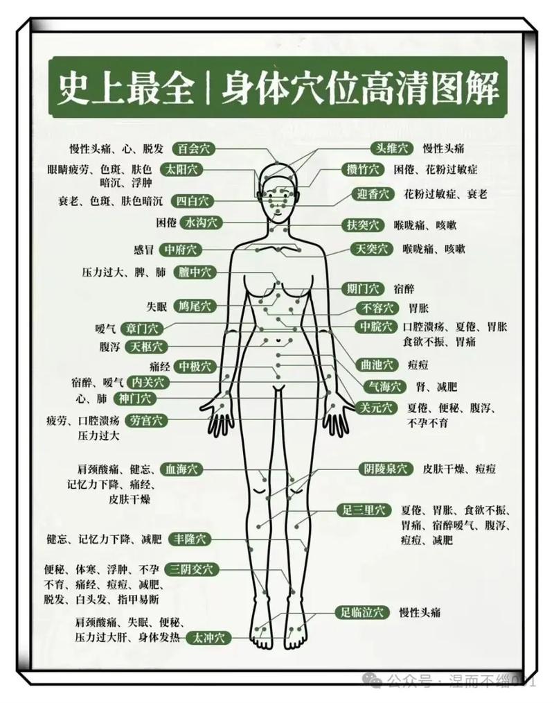 人体穴位位置图及作用