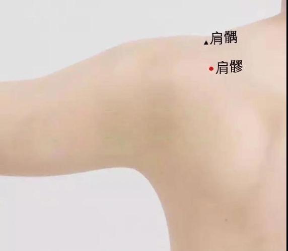 针灸治疗肩周炎的穴位