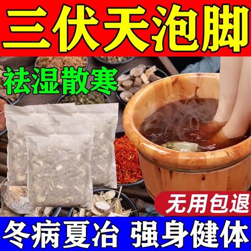 三伏天艾草怎么治风湿