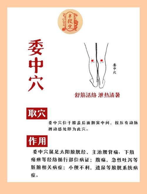 腰椎间盘突出穴位治疗