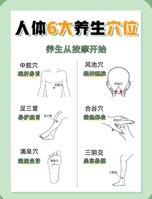 什么时间按摩什么穴位