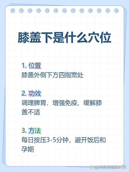 膝盖下四指是什么穴位