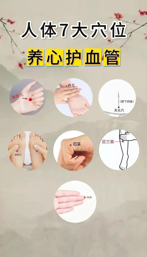 预防心血管疾病的穴位