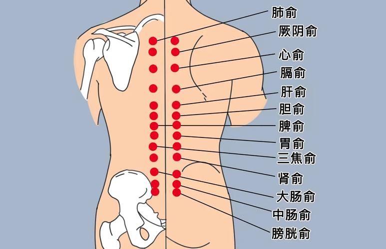 膀胱经不通按什么穴位