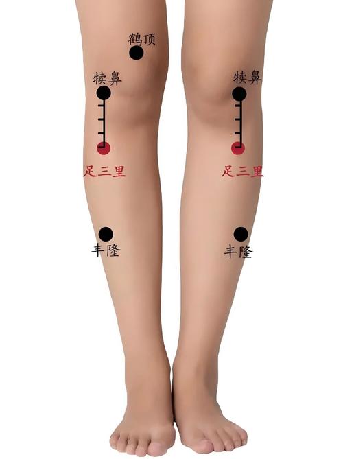 小腿肚后面有什么穴位