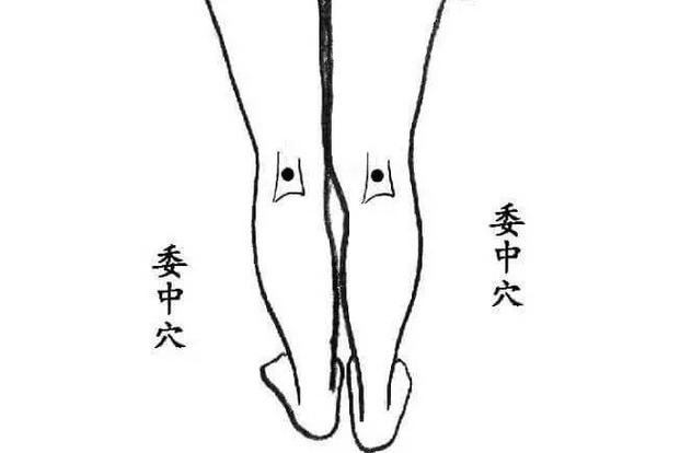 小儿推拿下肢部穴位图