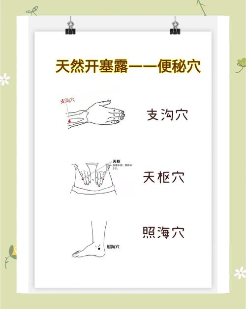 按哪个穴位可以治便秘