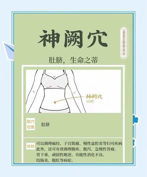 备孕可以艾灸哪些穴位