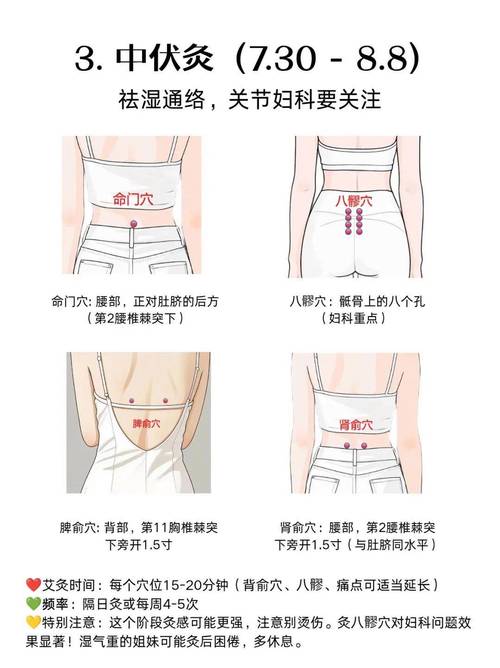 备孕可以艾灸哪些穴位