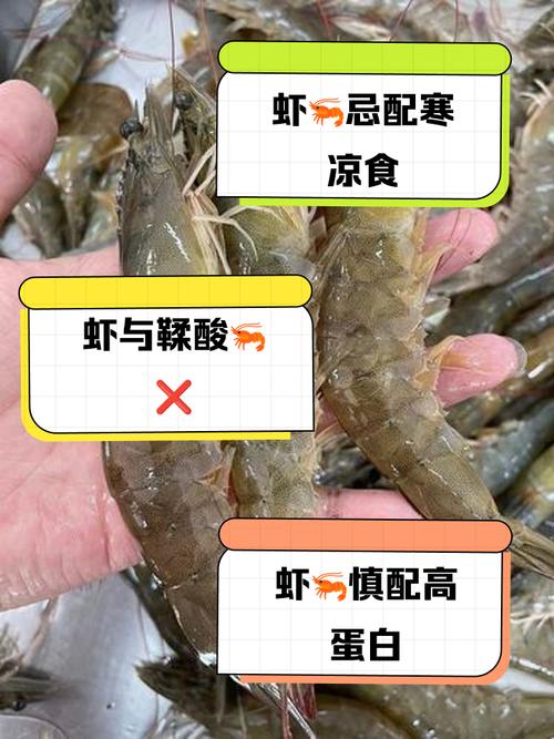 类风湿性关节能吃虾吗